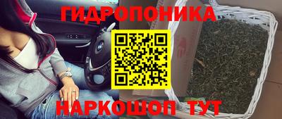 скорость Кимры