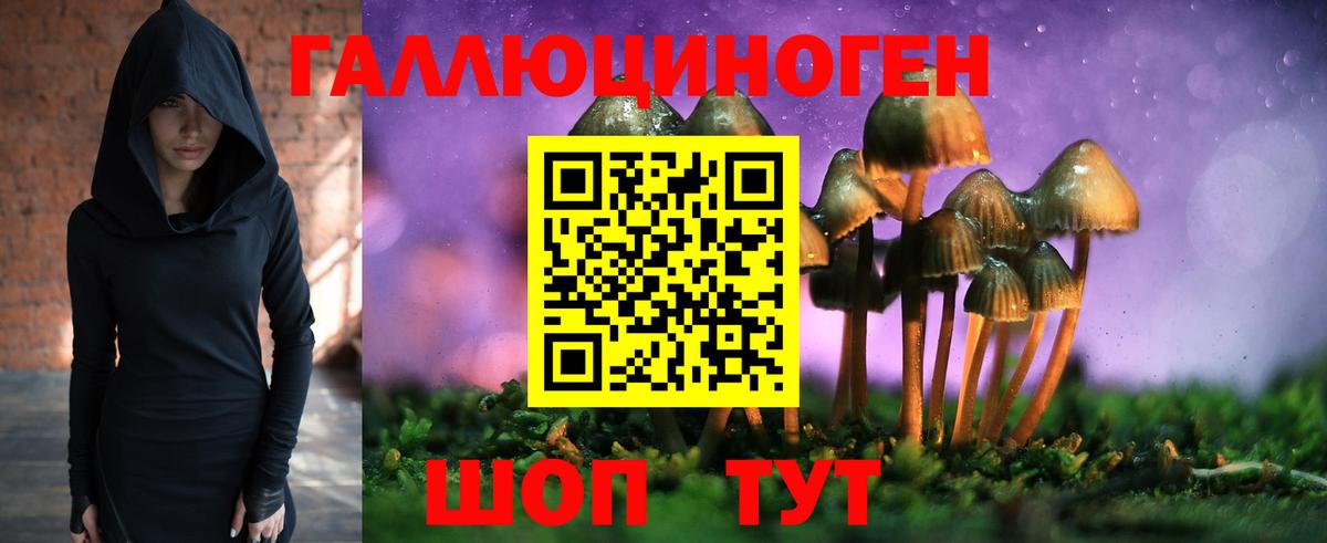 Галлюциногенные грибы Psilocybine cubensis Ленинск-Кузнецкий